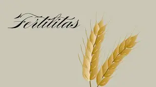 SYMBOLS OF FERTILITY#history #symbols