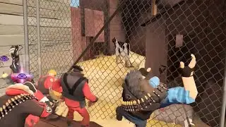 laughing at 2fort cow