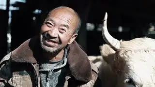 栓娃的梦想 #记录真实生活 #农村生活 #真实生活分享计划 #黄精 #黄精茶