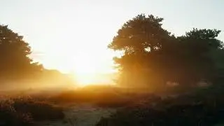 Adipsia (Official Visualiser)
