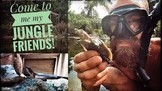 Making Friends with Wild Animals in your yard!