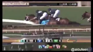 Oscar Performance by Kitten's Joy  - win Breeders&acute; Cup Juvenile Turf G1