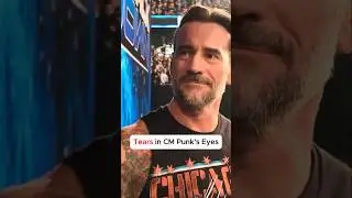 Tears in Punk's Eyes Watching AJ LEE🥹