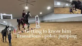 My first jump lesson on Tino! \\ getting to know him