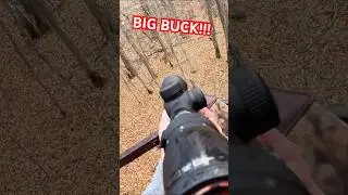 BIG BUCK DOWN🦌!!! -#hunting #minnesota #fyp #youtube #deer hunting #viral #opener #deer #bigbuck