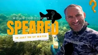 Невероятный улов на мелководье! (3 м глубиной) + внутри розыгрыш снастей 🎁