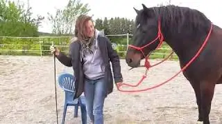 Ohne Sattel auf's Pferd