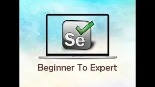 Selenium RC test case execution