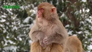 Winter Beauty of Murree Pakistan