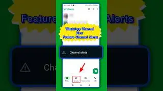 WhatsApp Channel New Feature Channel Alerts | Whatsapp Channel Alerts