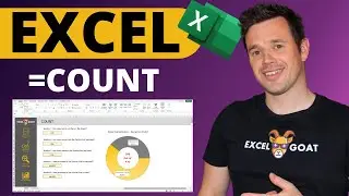 I used Excel's COUNT Function to make this Infographic!!