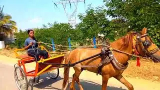 This girl reaction 🥰🥺😁 horse riding 🔥😇