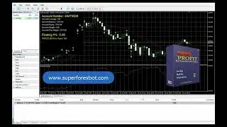 🚀 AUTOMATED TRADING | BEST FOREX ROBOT | Expert Advisor 2026 🚀