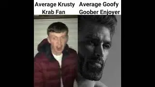 Average Fan VS Average Enjoyer