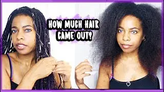 TAKING OUT MY BOX BRAIDS⎜SHEDDING , BUILD UP, & HAIR GROWTH?