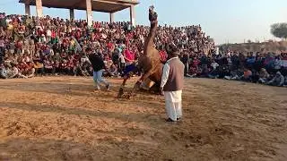 NEW CAMEL DANCE 2020 PART.  2