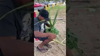 Making hats from palm leaves; Timothy and family in Puerto Rico