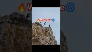 🔥 Wild Side 🤪 #fyp #wildside #extreme #sports #dive #jump #crazy #shorts