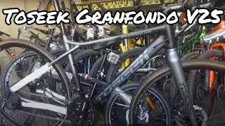 Toseek Granfondo V25 Bike Check