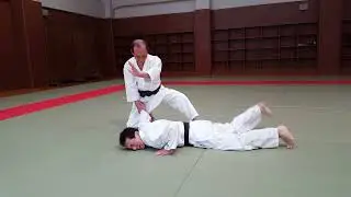 Budo training in Aikido　No 37 Ikkajyo　Ura１か条裏