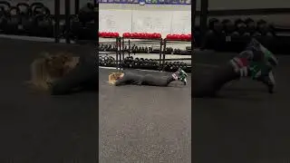 Prone Hamstring Curls - Mini Band