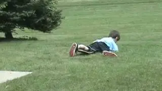 monkeys-face first fall down on a skateboard