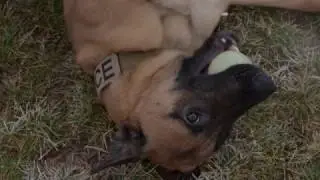 An Instant Bond