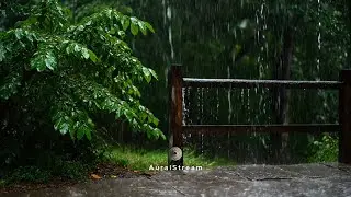 🌲 Sleep Instantly in a Serene Forest | ⛈️ Gentle Rain Sounds, Focus & Relaxation (10 Hours)