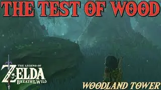 The Test of Wood (Shrine Quest) - Zelda: Breath of the Wild
