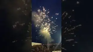 F&uacute;ria do le&atilde;o festa no mai&atilde;o