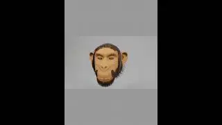 chimpanzee 3d face model