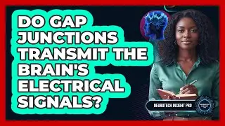 Do Gap Junctions Transmit The Brain's Electrical Signals? - Neurotech Insight Pro