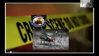 Death's Insect Allies: Fascinating Cases Solved by Forensic Entomologists अपराध बेनक़ाब #crime #PhD