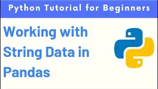 How to process and manipulate Python Pandas DataFrame String Columns or Text Data Columns