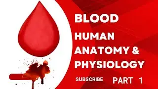 BLOOD |HUMAN BLOOD| HUMN ANATOMY PHYSIOLOGY|BLOOD GROUP lRRB|ESIC|DMER|ZP|DHS|DPEE |PHARMACIST|GPAT