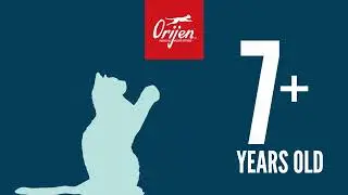 ORIJEN CANADA CAT GUARDIAN 8 SENOIR