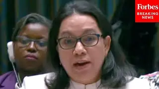 Guyanese UN Rep Calls On Hamas To Release Israeli Hostages And For Israel To End Gaza Aid Blockade