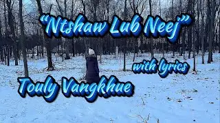 👴🏼Ntshaw Lub Neej (Hmong Sad Song Lyrics) by Touly Vangkhue | The Joy of Old Life.