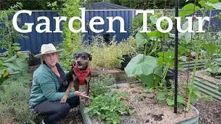 Aussie Urban Homestead Summer Garden Tour