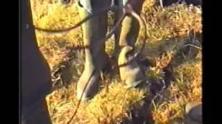 A day in the bog 1996 Killeedy.(some 4K T.V.s have interference playing this video)