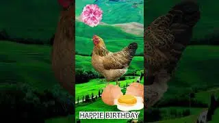 HAPPY BIRTHDAY WISH animated funny template  #entertainment #animation