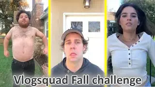 Vlogsquad Fall Challenge !! | Vlogsquad Instagram Stories