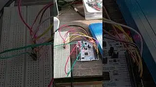 STM32 NUCLEO F446RE microcontroller of led Blinking one by one#stm #microprocessor #breadboard #led