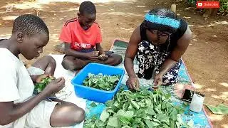 Simple Living in an African Village | Harvesting Fresh Vegetables & Rural Life