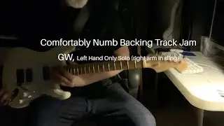 Comfortably Numb improvised solo one handed only