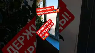 🌄🇺🇦✊🏻🤠З ФЕВРАЛЯ, В КИЕВЕ БЫЛА СТРАШНАЯ НОЧЬ! ДЕРЖИМСЯ УКРАИНЦЫ, СЛАВА ЗСУ!war #ukraine #love #shorts