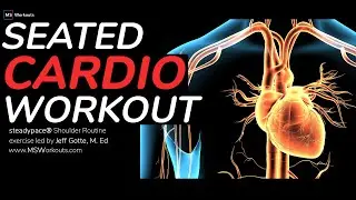Cardio Workout WHILE SEATED (Improve Cardiovascular Health)