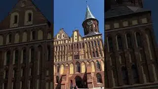 12K tripZ | Kaliningrad Cathedral Museum