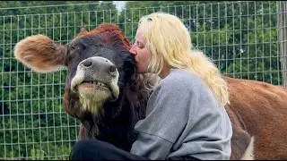 Some Believe Animals Don’t Have Souls… They Just Haven’t Seen This Yet