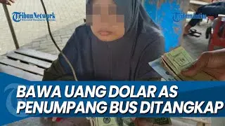 BAWA UANG DOLAR AS, Perempuan Penumpang Bus Harapan Jaya Rute Surabaya Trenggalek Ditangkap Polisi